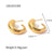 IG Style Irregular Geometric Stainless Steel 18K Gold Plated Earrings