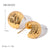 IG Style Irregular Stainless Steel 18K Gold Plated Earrings