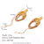 Fashion Circle Geometric Stainless Steel 18K Gold Plated Earrings