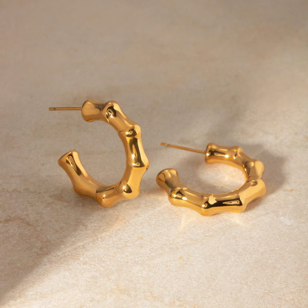 Chic Titanium Steel 18K Gold Plated Earrings