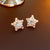 Versatile Star Star Alloy Electroplating Earrings