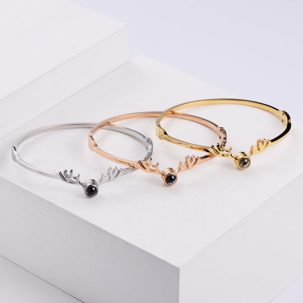 Women Minimalist Metal Diamond Chinese Zodiac Animal Titanium Steel Electroplating Bangles