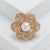 Pin Flower Alloy Inlay Artificial Rhinestones Artificial Pearls Women's Brooches