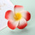 Plumeria Flower Hairpin Wholesale Dai Dress Travel Seaside Holiday Plumeria Flower Hairpin Flower Side Clip Hairpin Headdress