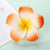 Plumeria Flower Hairpin Wholesale Dai Dress Travel Seaside Holiday Plumeria Flower Hairpin Flower Side Clip Hairpin Headdress