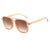 Retro Geometric Ac Toad Glasses Full Frame Men's Sunglasses