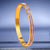 Retro Round Titanium Steel Inlay Zircon Bangle