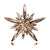 Shiny Star Flower Alloy Inlay Acrylic Women's Brooches