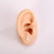 Silicone Simulation Fake Ear Facial Features Teaching Practice Props Nose Mouth Navel Stud Ring Accessories Display Stand Model