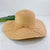 Simple Big Brim Hat Straw Hat Female Summer Sunscreen Sunshade Beach Hat