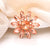 Simple Style Classic Style Pin Flower Alloy Inlay Zircon Women's Brooches 1 Piece