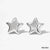 Simple Style Classic Style Star Stainless Steel Polishing Plating 14k Gold Plated White Gold Plated Gold Plated Earrings Necklace