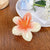 Simple Style Flower Plastic Resin Hair Claws