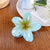 Simple Style Flower Plastic Resin Hair Claws