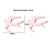 Simple Style Heart Shape Spider Stainless Steel Plating Hollow Out Ear Studs 1 Pair