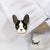 Simple Style Pin Animal Alloy Enamel Unisex Brooches