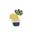 Simple Style Pin Cactus Alloy Enamel Metal Unisex Brooches