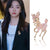 Simple Style Pin Deer Alloy Enamel Women's Brooches