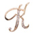 Simple Style Pin Letter Alloy Inlay Rhinestones Unisex Brooches