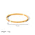 Simple Style Rectangle Stainless Steel Polishing Plating Inlay Zircon 18k Gold Plated Bangle