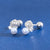 Simple Style Starfish Silver Plating Inlay Rhinestones Shell Ear Studs 1 Pair