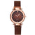 Starry Sky Female Watch Magnetite Magnet Milan Mesh Belt Watch Explosion Models Diamond-set British Ladies Fashion Watch