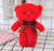 Stuffed Animals & Plush Toys Bear Pp Cotton Toys