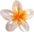 Style  Style Egg Flower Custom Transparent Gradient Flower Grab Clip New Color Hair Clip Back Head Advanced Hair Clip