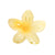 Style  Style Egg Flower Custom Transparent Gradient Flower Grab Clip New Color Hair Clip Back Head Advanced Hair Clip