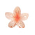 Style  Style Egg Flower Custom Transparent Gradient Flower Grab Clip New Color Hair Clip Back Head Advanced Hair Clip