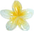 Style  Style Egg Flower Custom Transparent Gradient Flower Grab Clip New Color Hair Clip Back Head Advanced Hair Clip