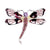 Sweet Dragonfly Alloy Inlay Rhinestones Women's Brooches