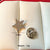 Sweet Pin Flower Bow Knot Fish Bone Copper Plating Women's Brooches