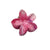 Sweet Simple Style Flower Plastic Hair Claws