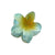 Sweet Simple Style Flower Plastic Hair Claws