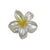 Sweet Simple Style Flower Plastic Hair Claws