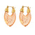 Sweet Stripe Transparent Arylic Gold Plated Earrings