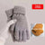 Touch Screen Gloves Men And Women Winter Cute Student Riding Warm Cold-proof Thickened Winter Cotton Velvet Gloves  Hot