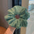 Wholesale Jewelry Chiffon Solid Color Hair Scrunchies