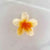 Women'S Fashion Flower Resin