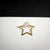 Women's Basic Simple Style Starfish Cat Bow Knot Alloy Plating Hair Clip