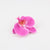 Women's Casual Cute Solid Color Cloth Metal Hair Clip