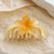 Women's Casual Simple Style Flower Plastic Resin Stoving Varnish Hair Claws