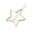 Women's Casual Simple Style Streetwear Geometric Star Alloy Plating Hair Clip