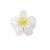 Women's Cute Flower Plastic Resin Stoving Varnish Hair Claws