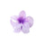 Women's Cute Flower Plastic Resin Stoving Varnish Hair Claws