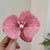 Women's Elegant Lady Sweet Flower Artificial Pearl Appliques Hair Clip