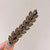 Women's Elegant Simple Style Grain Rhinestone Hair Clip