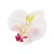 Women's Elegant Streetwear Floral Plastic Resin Hair Clip