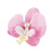 Women's Elegant Streetwear Floral Plastic Resin Hair Clip